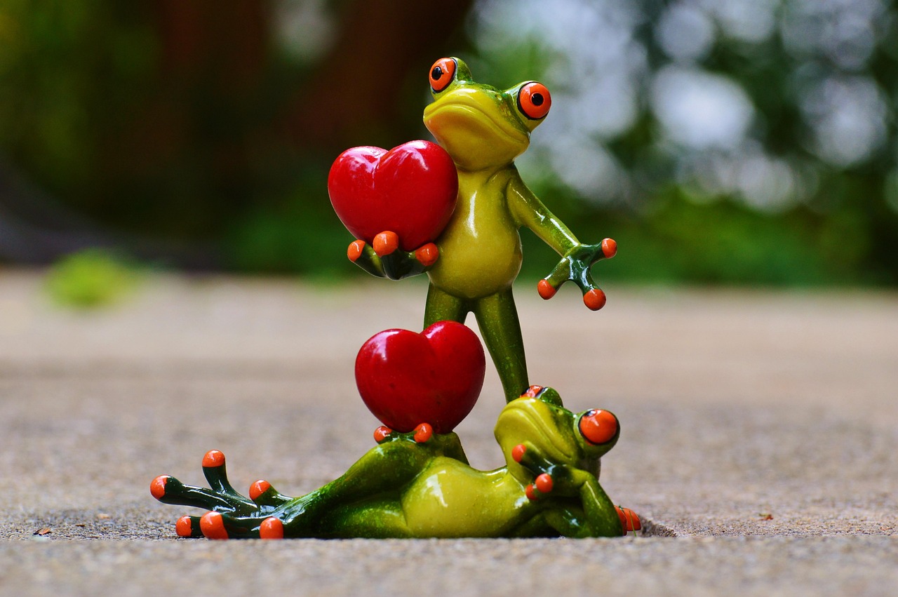 frogs, few, love, valentine's day, pose, heart, fun, nature, frog, animal, figure, cute
