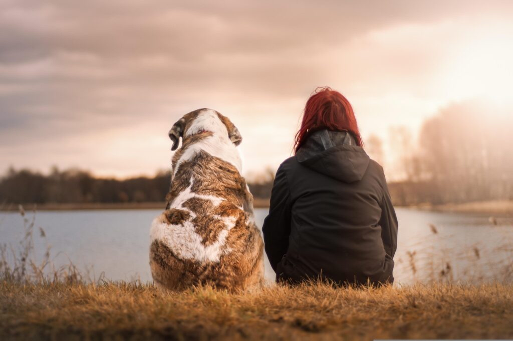 happy holidays, animal, woman, dog, pet, friends, suit, sunset, together, friendship, camaraderie, nature, best friends